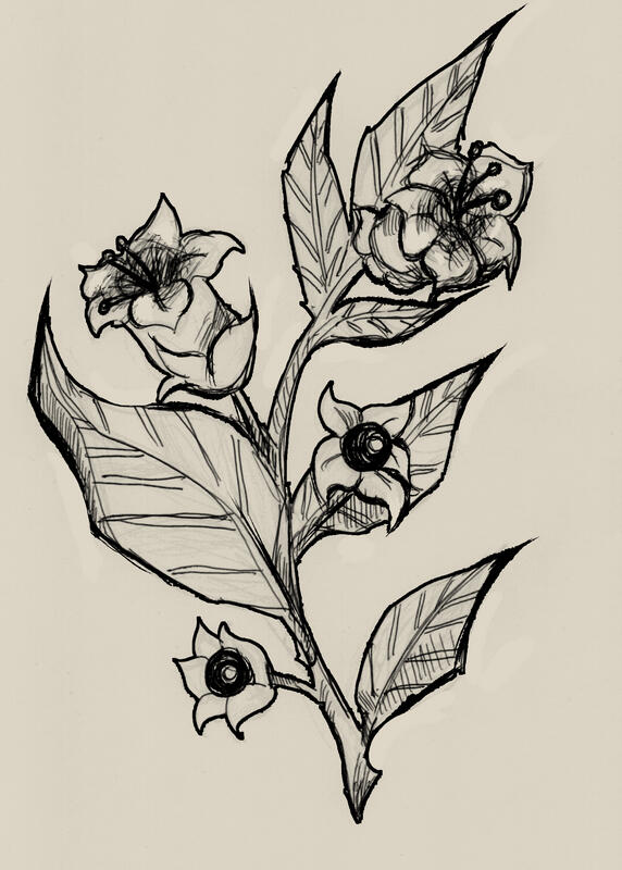 Flower Branch