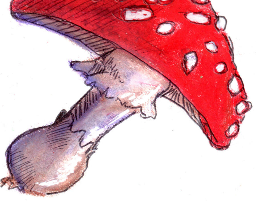 Traditional Sample
