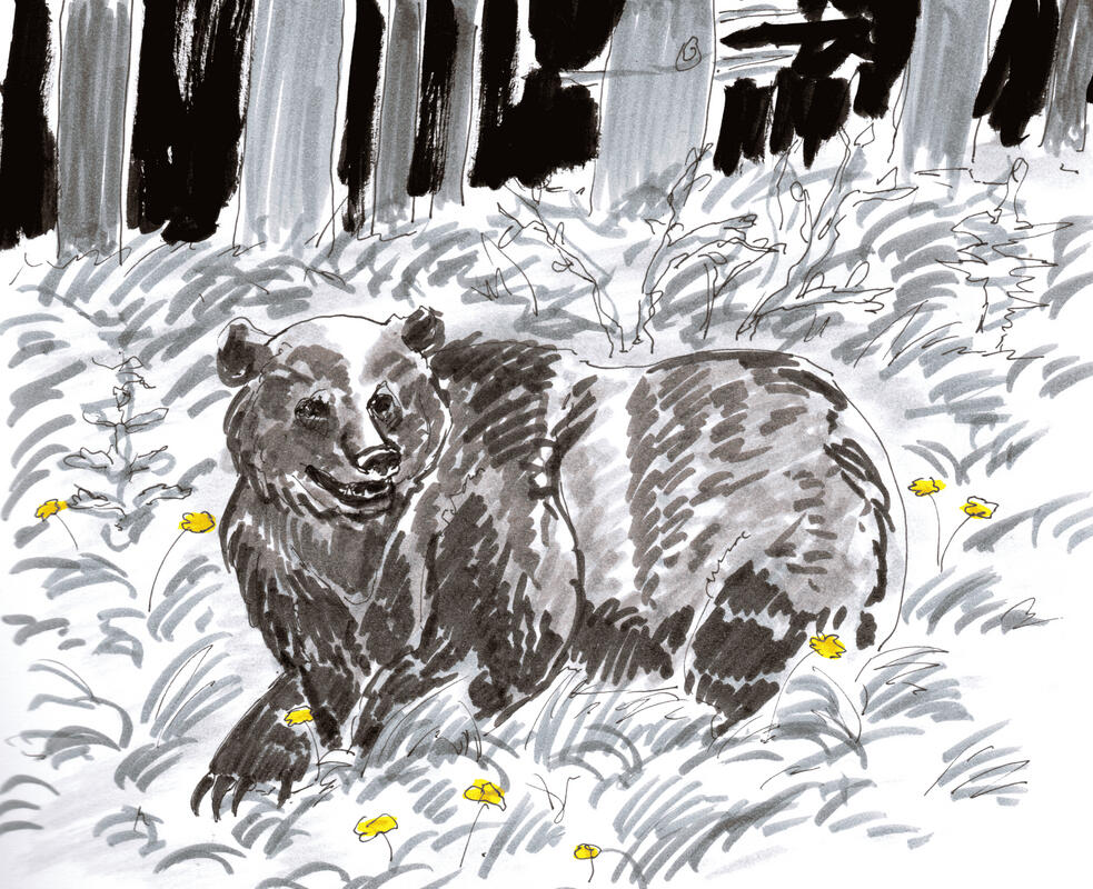 Spring Bear Print